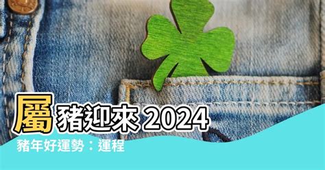 豬 2024|2024年豬年運勢：你的個人成長